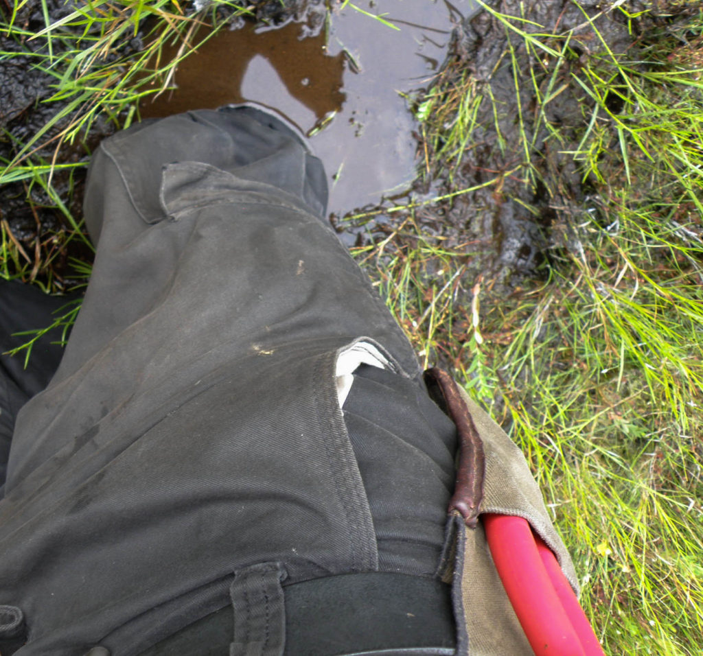 7Song bogged down in an Adirondacks bog