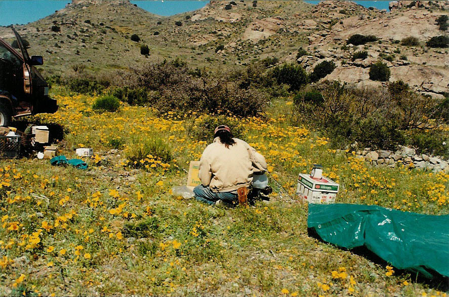 Processing plants in New Mexico.